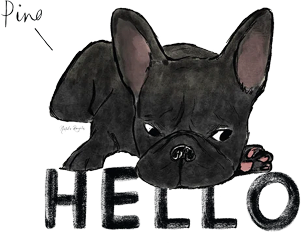 Hello Pino Alphabet of Luxe book star from ABC Book for kids featuring luxury